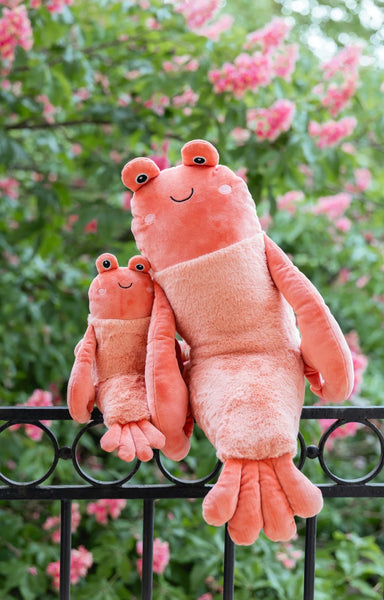 Craig the Crayfish - Nana Huchy