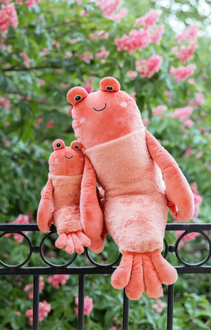 Craig the Crayfish - Nana Huchy