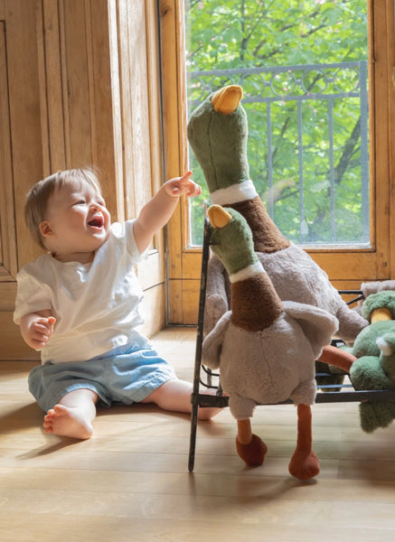 Hugo the Dashing Duck - Nana Huchy