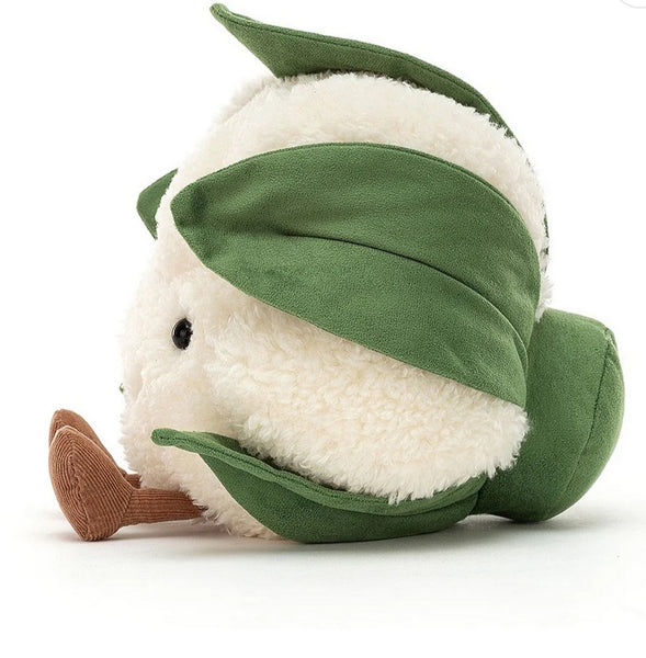 Jellycat - Amuseable Cauliflower ☆last one☆