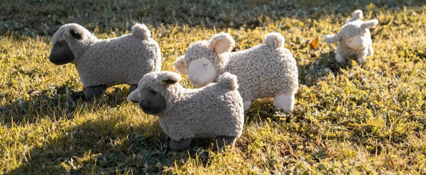 Nana Hutchy - Charlotte the Sheep Cream