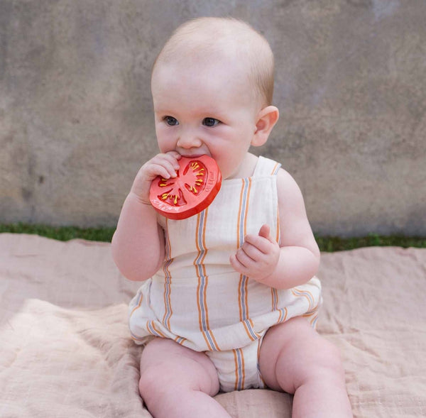 Oli and Carol Teether Toys