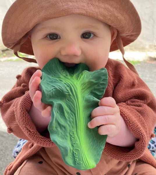 Oli and Carol Teether Toys