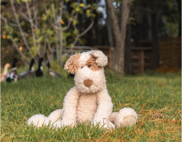 Nana Huchy - Buddy the Dog Beige