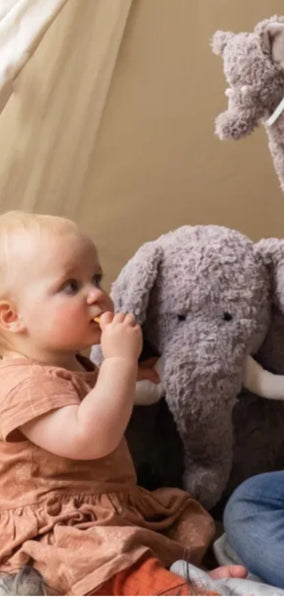 Jumbo Jimmy the Elephant