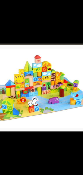 Adventure & Activity Blocks 133 pieces