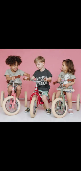 Try Bike Steel Black