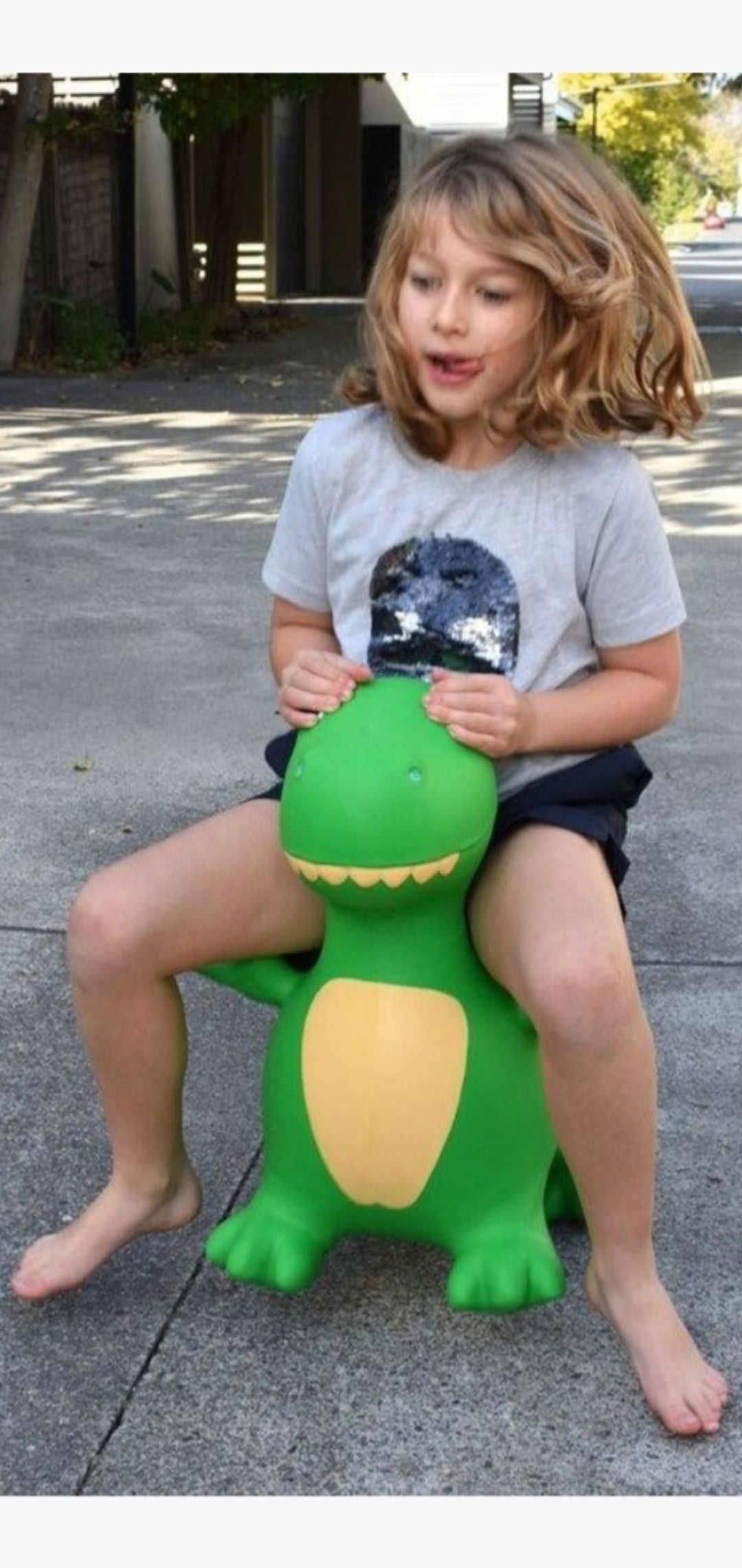 Bouncy Rider Zappy the T-Rex - Country Kids