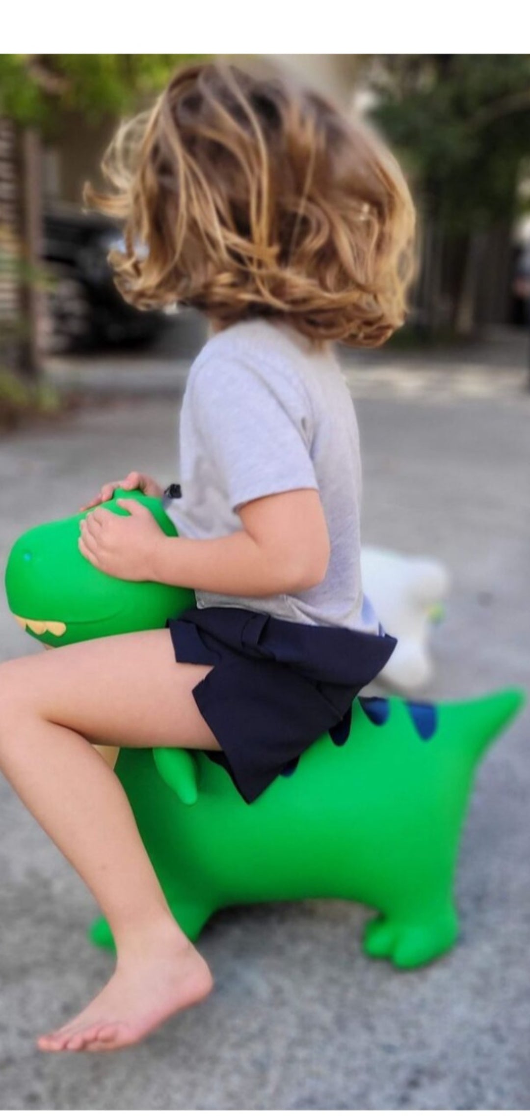 Bouncy Rider Zappy the T-Rex - Country Kids