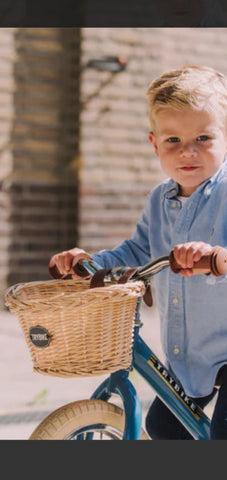 Trybike Bike Treasure Basket