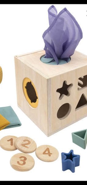 Sensory 4 in 1 Learning Cube including Downloadable Guidable Activitie Playbook