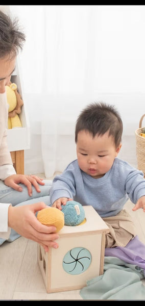 Sensory 4 in 1 Learning Cube including Downloadable Guidable Activitie Playbook