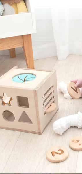 Sensory 4 in 1 Learning Cube including Downloadable Guidable Activitie Playbook