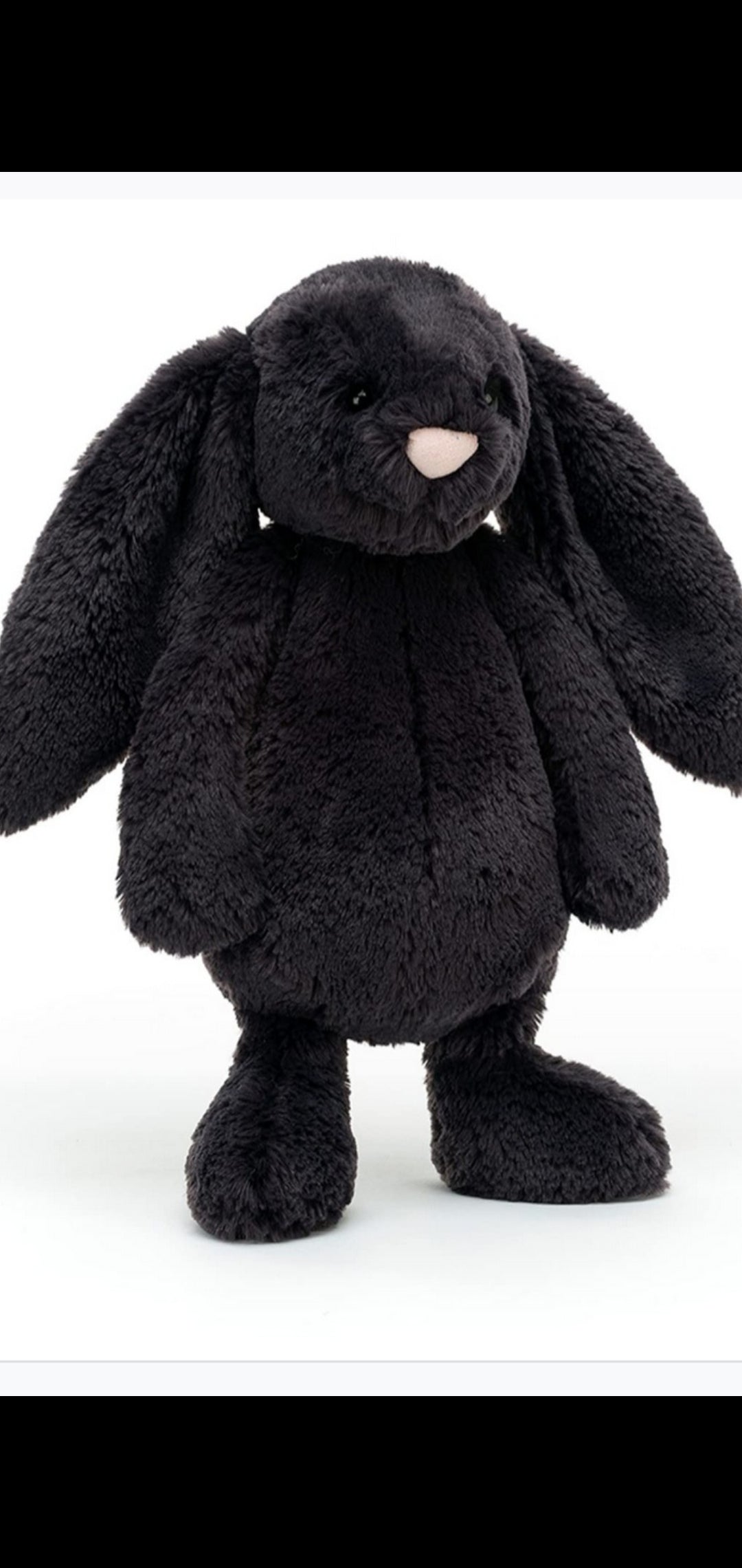 Bashful Inky Bunny Jellycat Country Kids
