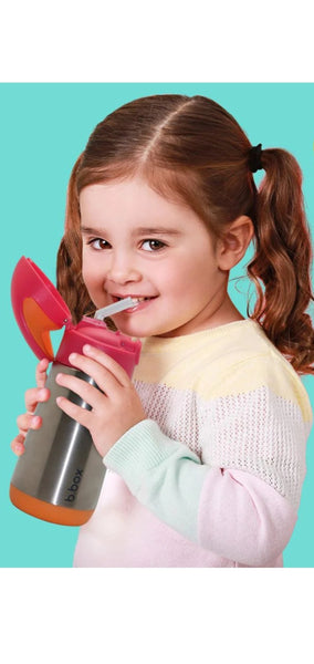 Bbox Insulated Drink Bottle