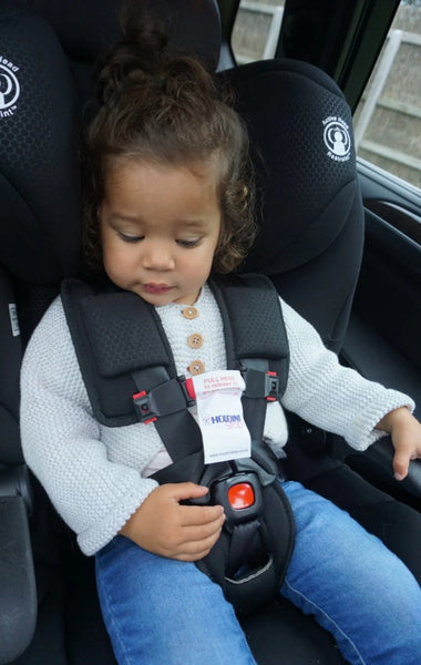 The Houdini Stop Chest Strap 1 Strap