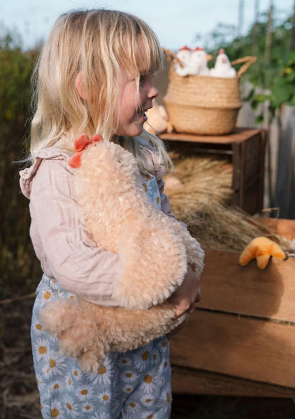 Harriet the Hen - Nana Huchy