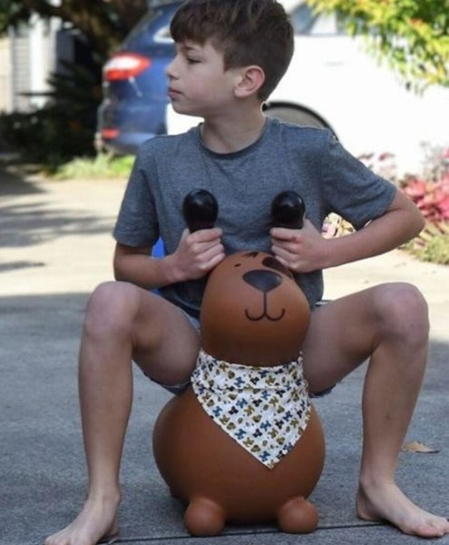 Bouncy Rider - Pudding the Brown Dog