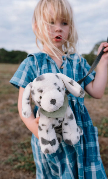 Debbie the Dalmatian - Nana Huchy