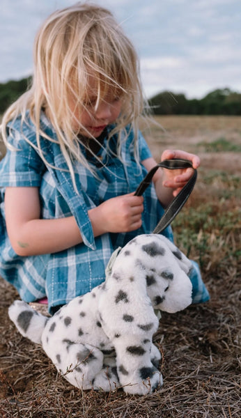 Debbie the Dalmatian - Nana Huchy