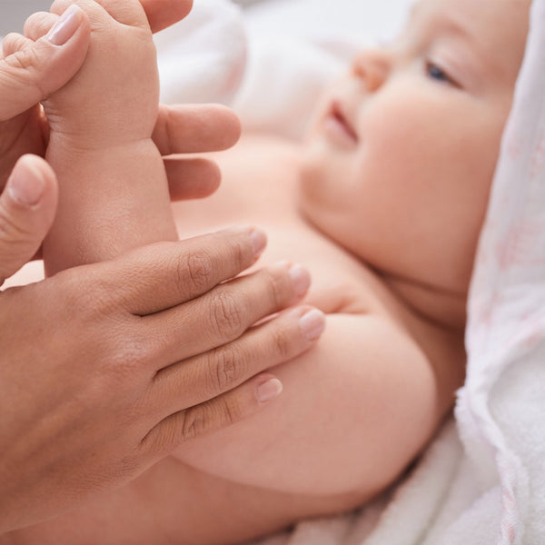 Willow By The Sea- Baby Oil