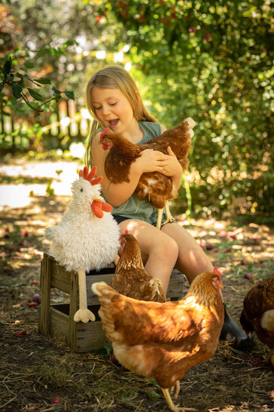 Nana Huchy- Roy the Rooster